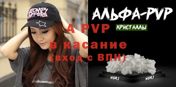 спиды Магас