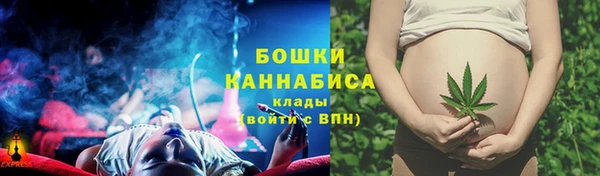 спиды Магас
