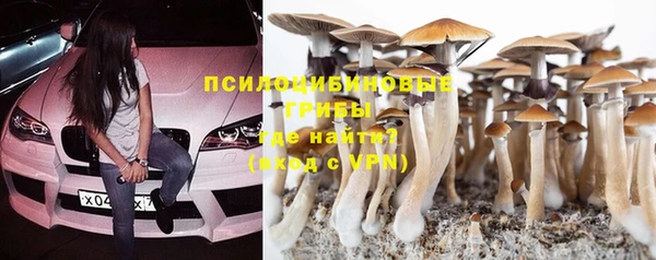 стафф Мегион