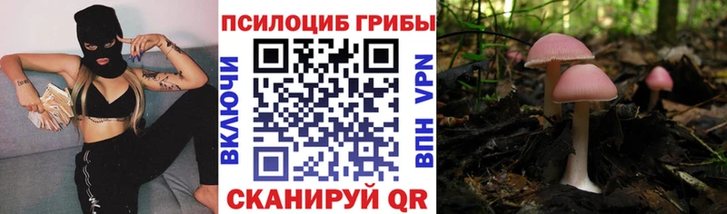 Псилоцибиновые грибы Psilocybine cubensis  мега сайт  Волгодонск 