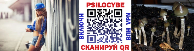 Галлюциногенные грибы MAGIC MUSHROOMS Волгодонск