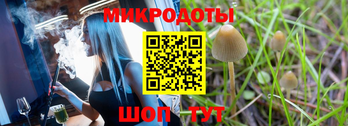 Псилоцибиновые грибы Psilocybe Волгодонск